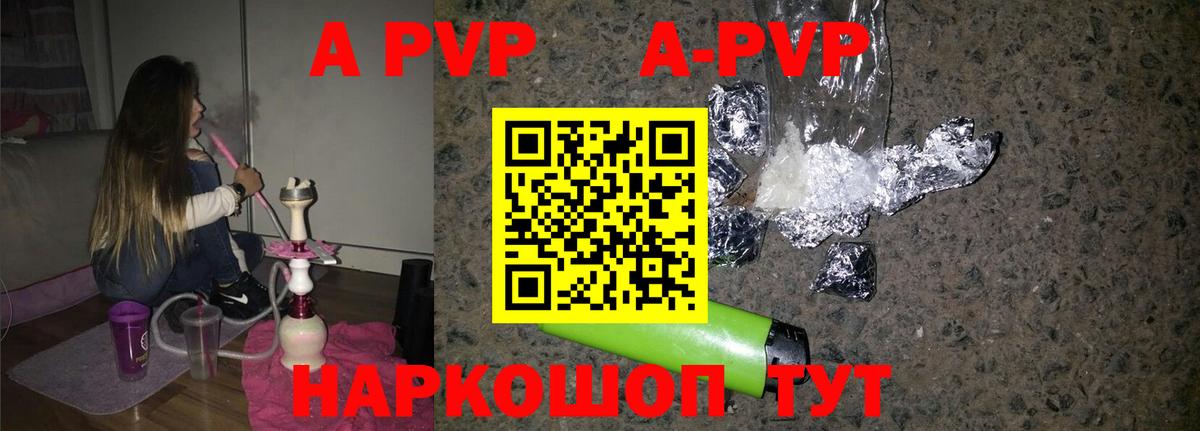 Alfa_PVP СК Нижний Новгород