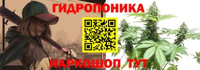 a pvp Славгород