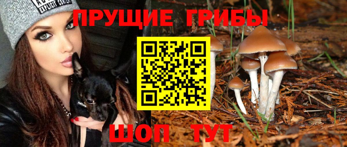 Псилоцибиновые грибы Magic Shrooms  Вход с VPN  Нижний Новгород 