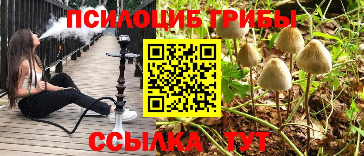 Галлюциногенные грибы мухоморы Нижний Новгород